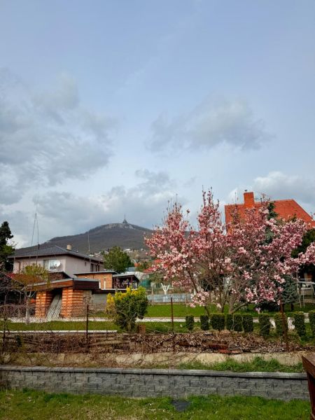 Sale Family house, Family house, Metodova, Nitra, Slovakia